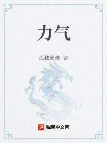 力气