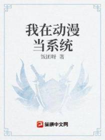 我当系统的那些年