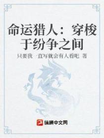 命运猎人：穿梭于纷争之间