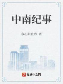 中南纪事