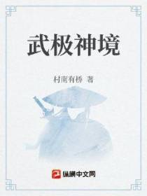 武极神境