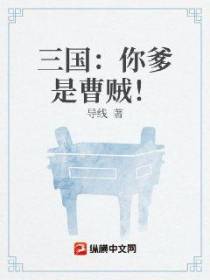 三国：你爹是曹贼！