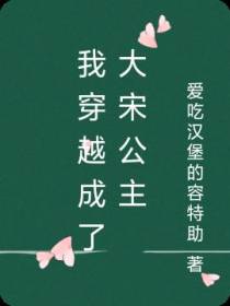 我穿越成了大宋公主