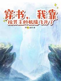 穿书,我靠抢男主的机缘飞升了
