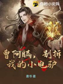 曹阿瞒,别拆我的小电驴