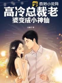 高冷总裁老婆变成小神仙
