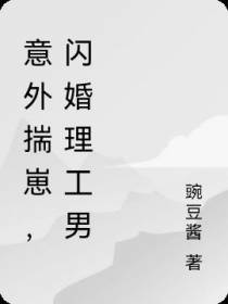 意外揣崽,闪婚理工男