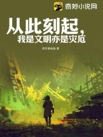 从此刻起,我是文明亦是灾厄
