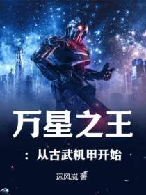 万星之王：从古武机甲开始