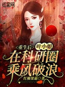 重生后,叶小姐在科研圈乘风破浪