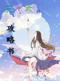 36计攻略书