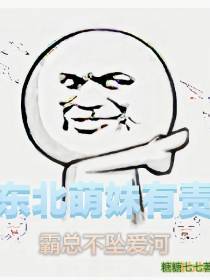 东北萌妹有责霸总不坠爱河