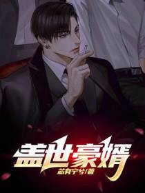 盖世豪婿