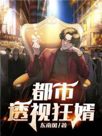 都市透视狂婿
