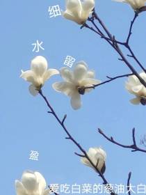 细水留盈