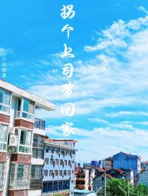 拐个上司带回家