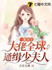 一胎双宝,大佬全球通缉少夫人