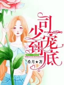 司少,一宠到底