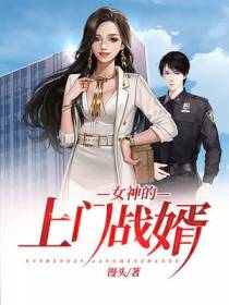 女神的上门战婿