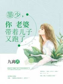 墨少,你老婆带着儿子又跑了