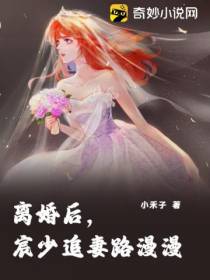 离婚后,宸少追妻路漫漫