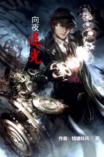 向夜追光