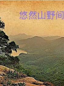 悠然山野间