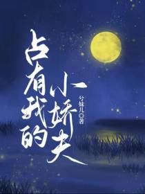 占有我的小娇夫