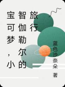 宝可梦,小智伽勒尔的旅行