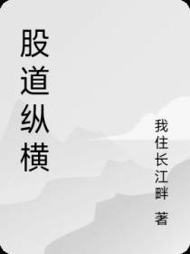 股道纵横