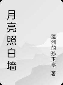 月亮照白墙