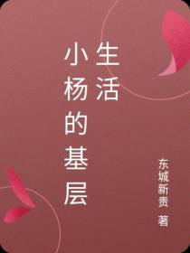 小杨的基层生活