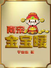 南宋金宝暖
