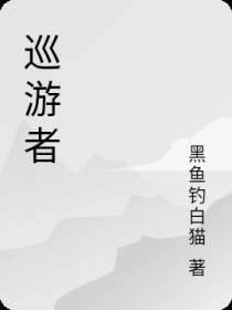 巡游者