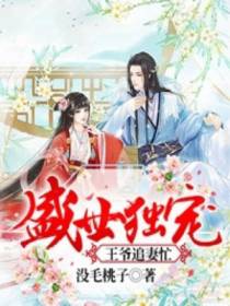 盛世独宠：王爷追妻忙