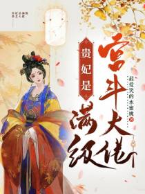 贵妃是满级宫斗大佬