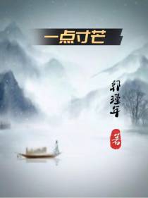 一点寸芒