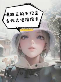 摄政王的王妃是古代大使馆馆长