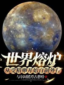 世界熔炉：从受精卵开始自制外挂