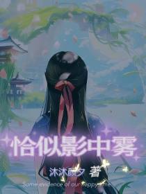 恰似影中雾