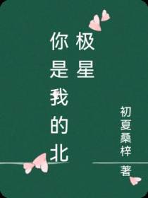 你是我的北极星