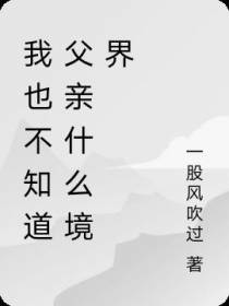 我也不知道父亲什么境界