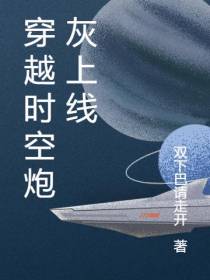 穿越时空炮灰上线