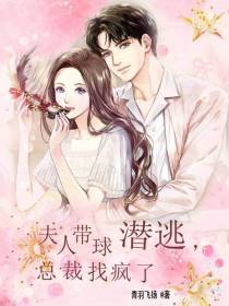 夫人带球潜逃,总裁找疯了