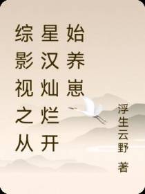 综影视之从星汉灿烂开始养崽