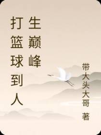 打篮球到人生巅峰
