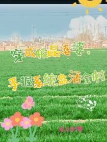 穿成极品婆婆,手握系统盘活全村