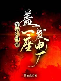 在玄幻世界盖一座发电厂