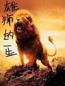 雄狮的一生
