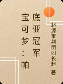 宝可梦：帕底亚冠军